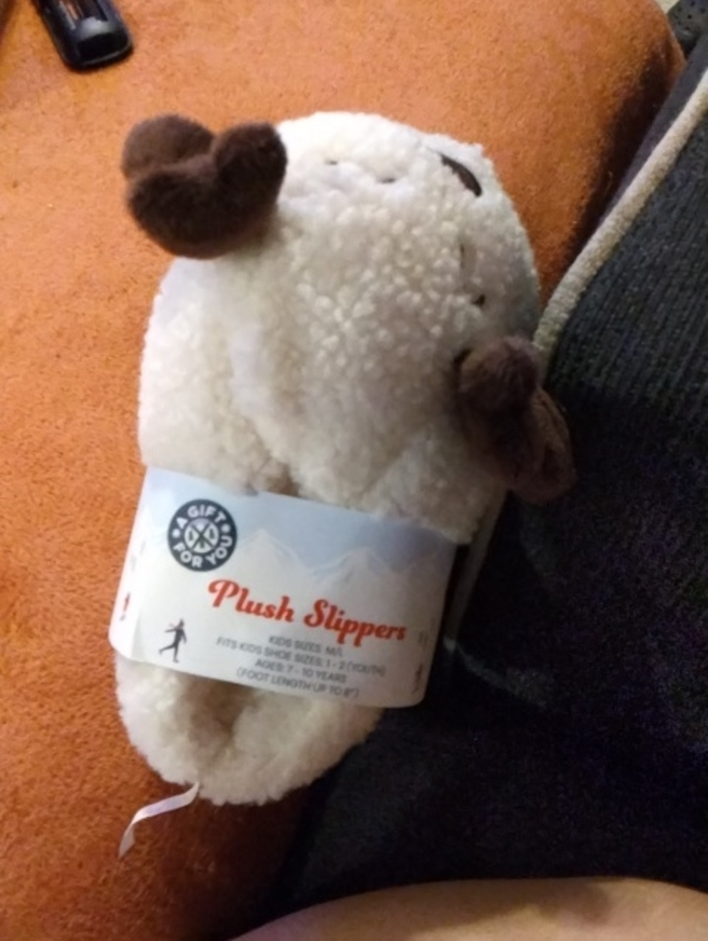 Plush Slippers 1063